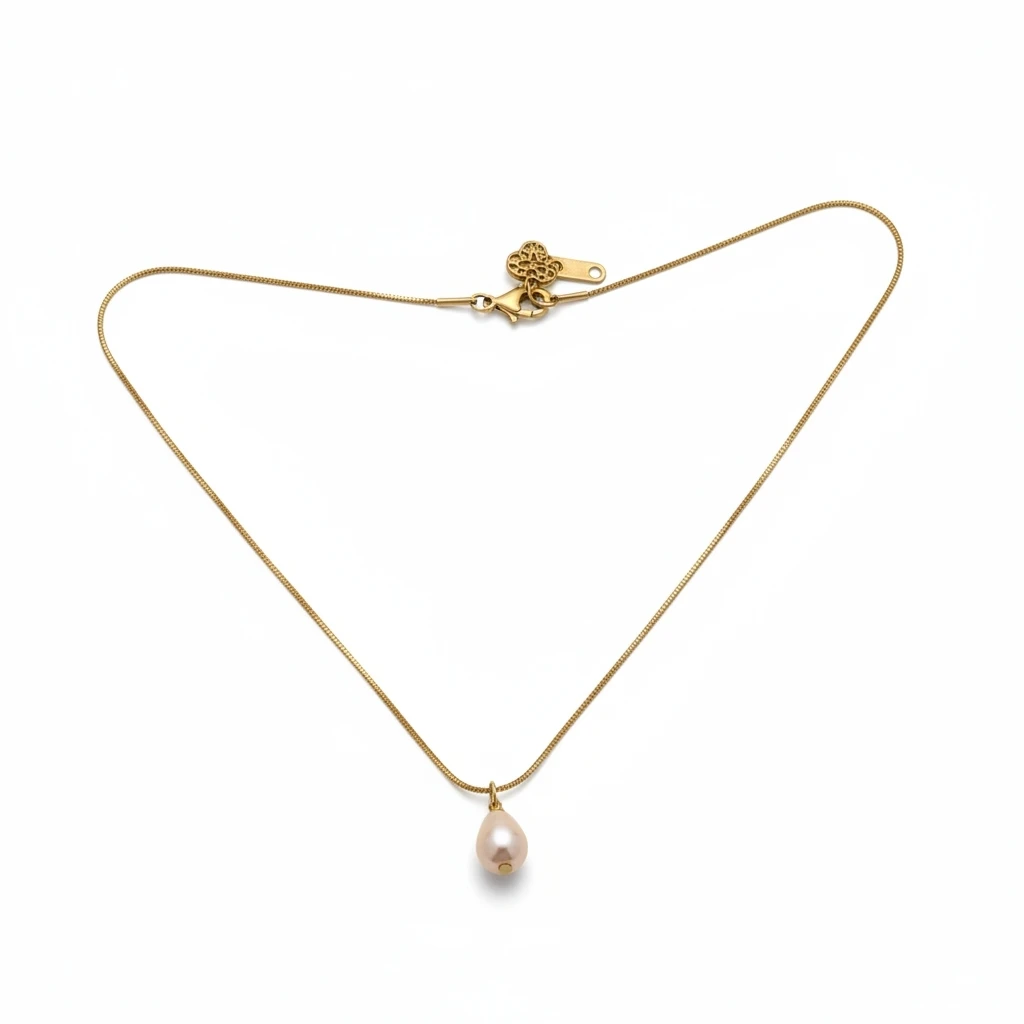 photoroom 20260124 230127393